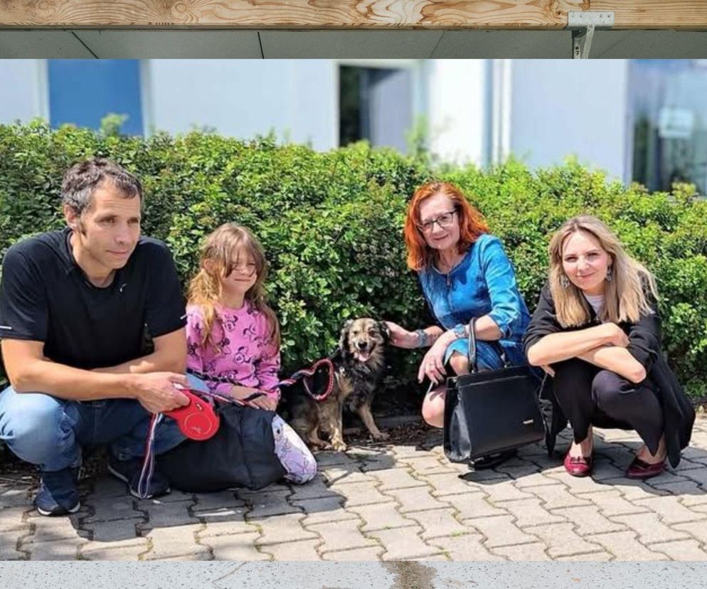 Rodzina przez pół roku szukała Rexa
