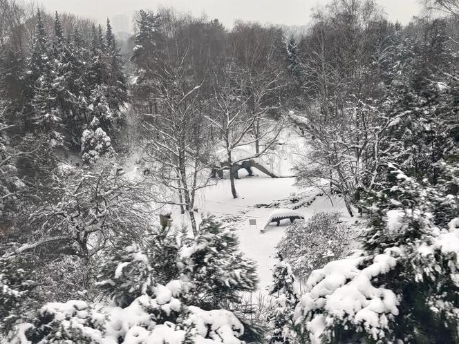 Nad Zoo w Chorzowie kursuje nowa "Elka" - fotki z pierwszego przejazdu nowej linii kolejki w Parku Śląskim