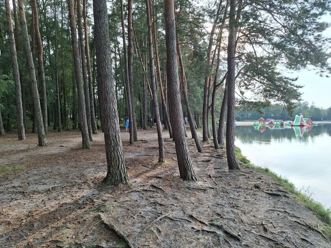 Spokojne wrześniowe popołudnie nad Jeziorem Bialskim w Białce