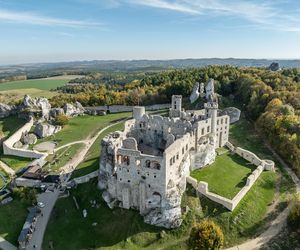 Zamku w Ogrodzieńcu