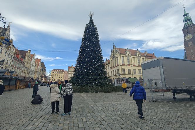 Choinka za milion złotych stanęła we Wrocławiu. Tak wygląda luksusowe drzewko 