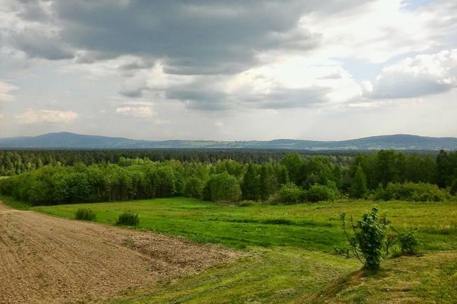 Klonów - urokliwa wieś w sercu Puszczy Świętokrzyskiej