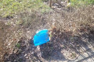 Tak źle jeszcze nie było? Olsztyn cały zaśmiecony. „Jest to problem dla właścicieli zwierząt i turystów”