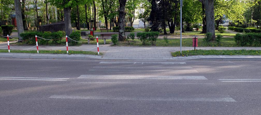 Chory Cimoszewicz potrącił rowerzystkę na pasach