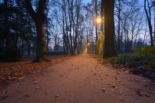 Który z wrocławskich parków Ty lubisz najbardziej?