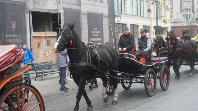 Wielka Szarża w centrum Łodzi. Oddziały konne przeszły przez Piotrkowską