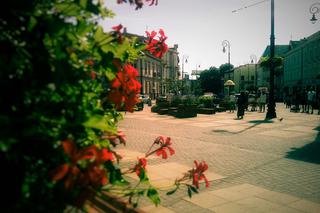 Letnie uroki Lublina [ZDJĘCIE DNIA]