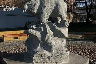 Pomnik Dzika Kiełka w Kielcach