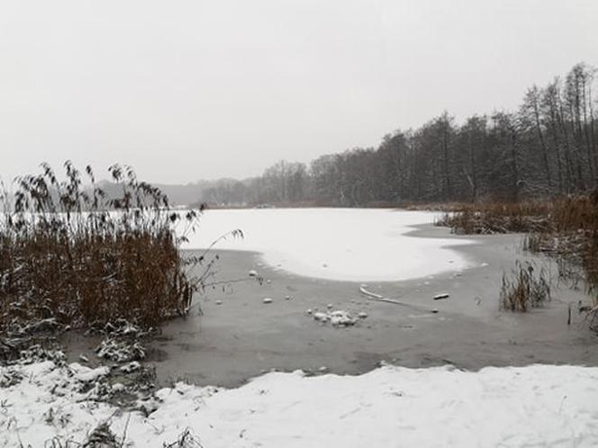 Jezioro Rusałka w zimowej aurze