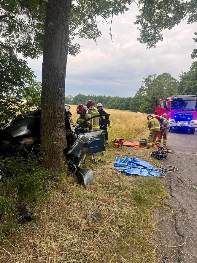 Dramat na drodze pod Bartoszycami. Pijany 18-latek wjechał w drzewo!