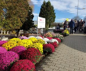 Przygotowania do Wszystkich Świętych Zamość