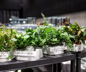 Targi egzotyki w Katowicach