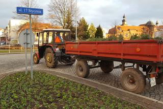 Za nieco ponad miesiąc wiosna! Na skwerach w Lesznie zaczęły się już pozimowe porządki