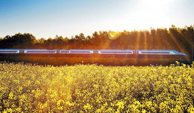 Polacy masowo i spontanicznie rzucili się na pociągi PKP intercity. O co chodzi?