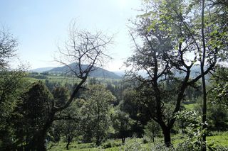 Ta małopolska wieś zachwyca pięknymi zabytkami. Kiedyś należała do zakonu