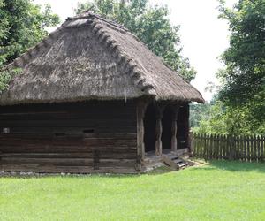 Skansen w Lublinie zachwyca w słoneczny letni dzień!