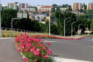 Starachowice. To najbardziej ukwiecone miasto świętokrzyskiego
