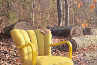 Żółty fotel w jesiennej stylizacji