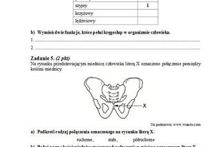 Matura 2013 biologia p. podstawowy