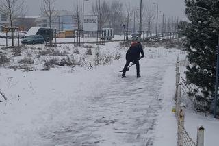 W Bydgoszczy znów prószy śnieg