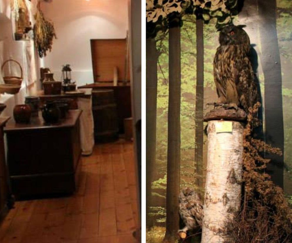 Muzeum Borów Tucholskich w starym spichlerzu. Można się tu przenieść w czasie!