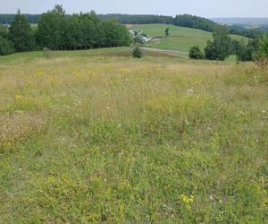 Rowelska Góra na Podlasiu