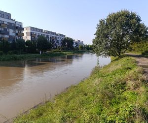 Stan rzeki Ślęza cały czas się podnosi. Przekroczono już stan alarmowy. Jak wygląda sytuacja?