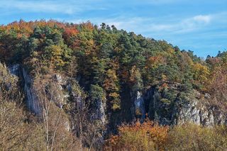 To najpiękniejsza atrakcja w sąsiedztwie Krakowa według AI. Turyści są zachwyceni tym miejscem!