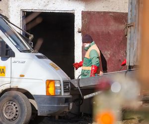 Potworny los zwierząt w Idzbarku. To była umieralnia. Gospodarz usłyszał zarzuty!