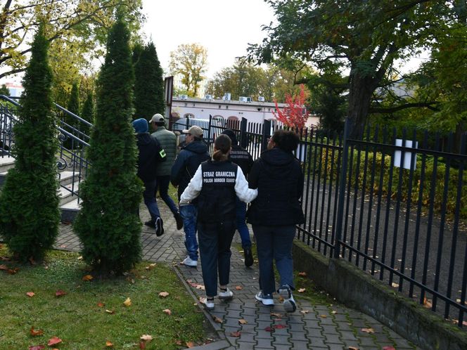Straż graniczna na zatrzymała na Śląsku 21 obcokrajowców. Wśród nich byli "studenci"