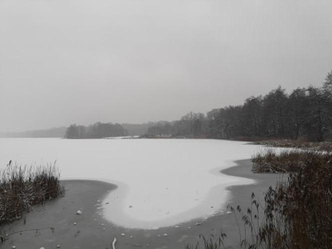 Jezioro Rusałka w zimowej aurze