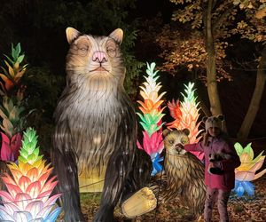 Garden of Lights we Wrocławiu