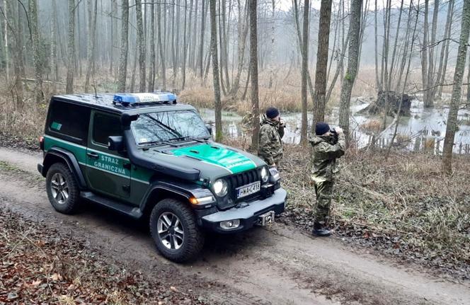 Jeepy Wrangler Sahara dla Straży Granicznej. Te samochody nie boją się bezdroży