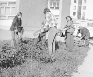 Osiedle Za Żelazną Bramą w Warszawie - stare zdjęcia. Jak wyglądało dawniej, w PRL-u?