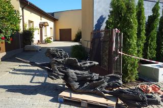 Czeladzka czarownica