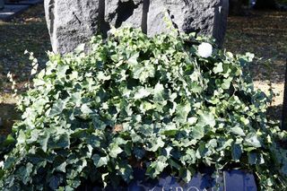 Otwarte księgi historii Polski. Spacer po najważniejszych i najstarszych metropoliach Polski