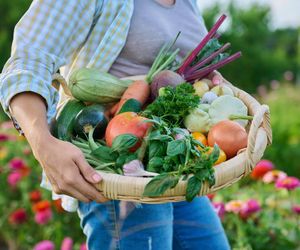 101 prostych przepisów na odporność. Włącz 25 produktów do swojego menu