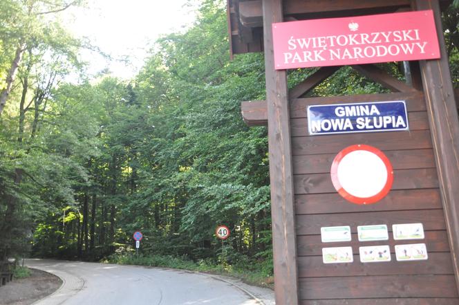 Droga z Huty Szklanej w kierunku Świętego Krzyża