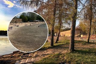 Dramatyczna sytuacja wielkopolskiego jeziora. Akwen w Skorzęcinie niknie w oczach 