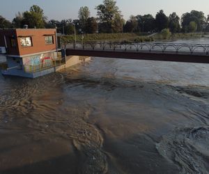 Powódź we Wrocławiu. Tak wygląda Odra w czwartek 19.09.2024 