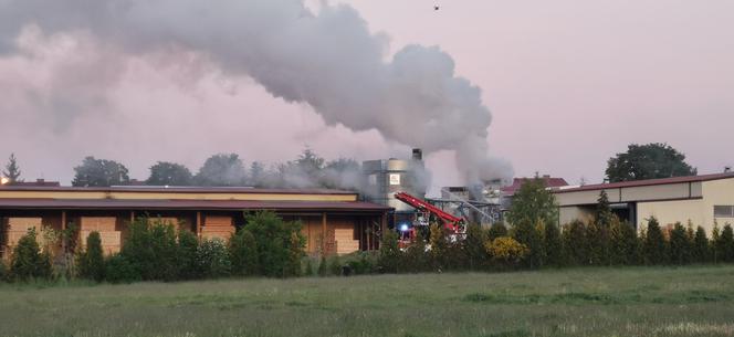 Pożar w tartaku w Drawsku Pomorskim 