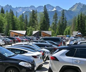 Szok w Tatrach! Turyści zaatakowali parkingowego i zdewastowali szlabany na parkingu przy Palenicy Białczańskiej
