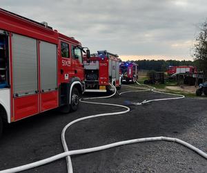 Potężny pożar kurnika w pow. radzyńskim Padło kilka tysięcy zwierząt. Zobacz