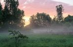 Bajm nakręcił kultowy teledysk w Małopolsce. Powstał nad zalewem nieopodal Krakowa