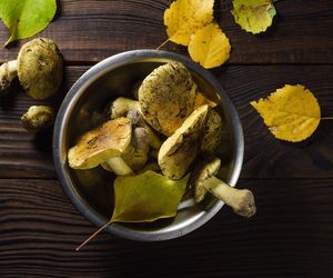 Są pyszne, aromatyczne i można je jeszcze zbierać. Gąski to najlepsze grzyby na jesień 