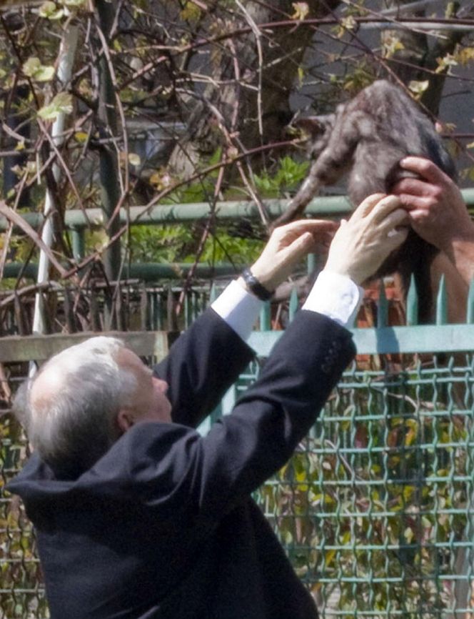 Kaczyński bardzo doba o koty