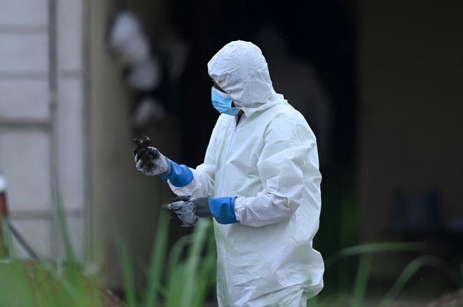 Makabryczne odkrycie. Zwłoki 40 osób za domem policjanta z Salwadoru