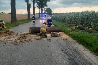 Komisje szacujące szkody po nawałnicach w warmińsko-mazurskim rozpoczynają prace