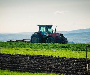 Oto najpiękniejsze wsie na Podkarpaciu. Ranking konkursu Piękna Wieś Podkarpacka