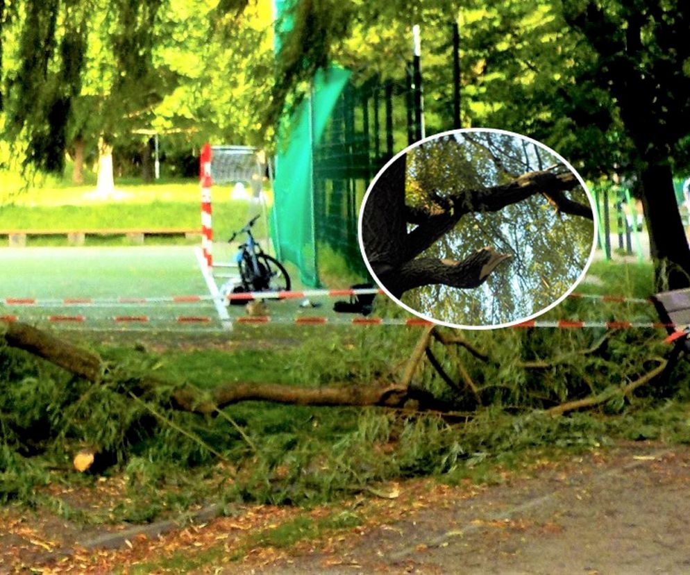 Groza w parku w Warszawie, Na dziecko runął konar 